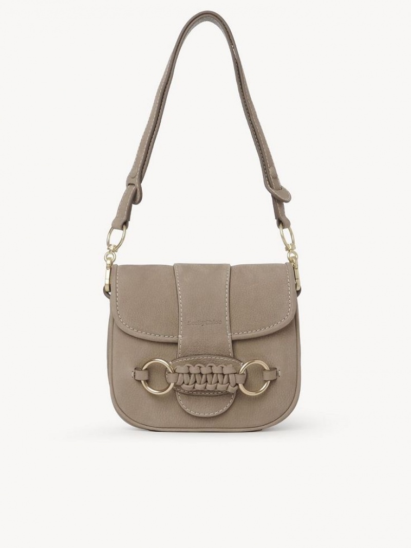 Chloe Saddie Satchel Shoulder Bags Motty Grey | CHE-SR14666