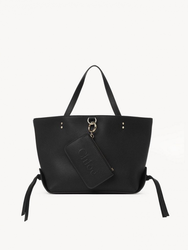 Chloe Sense Small East-west Shoulder Bags Black | CHE-SR13420