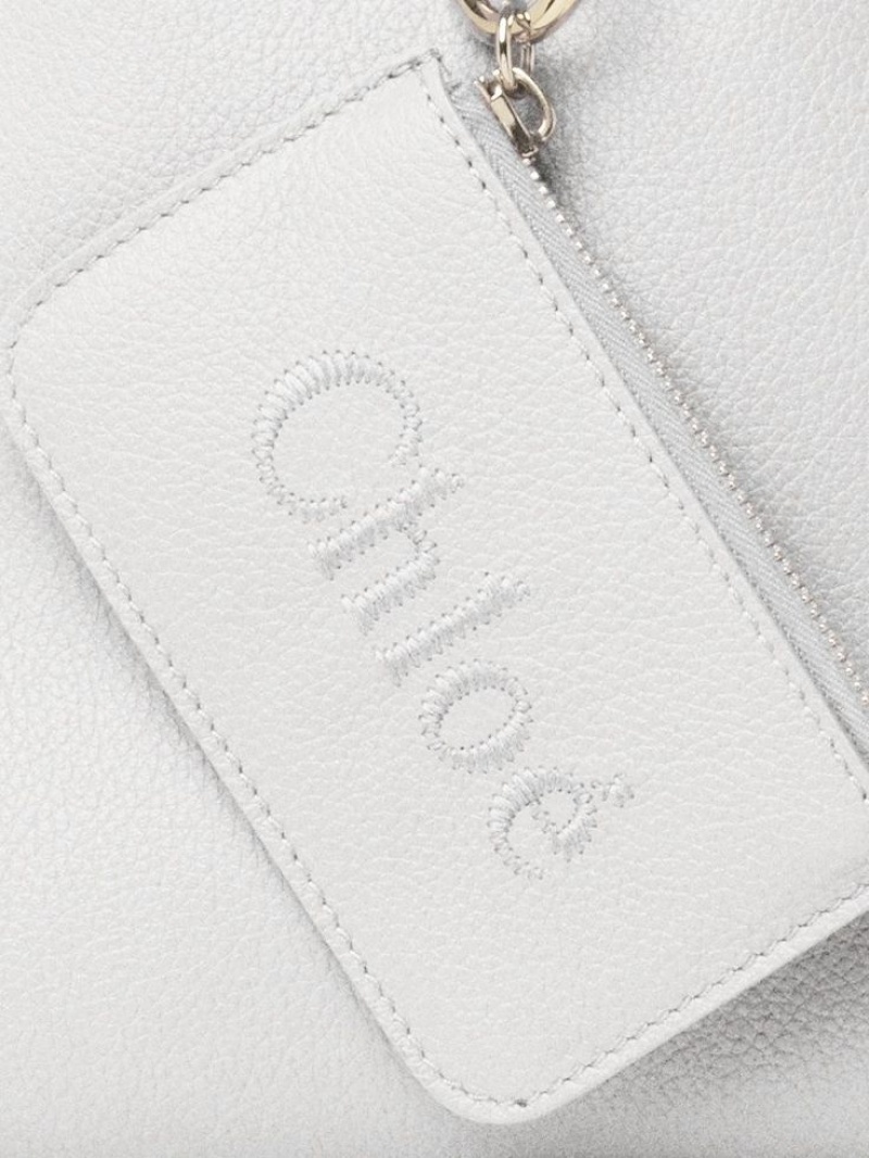 Chloe Sense Small East-west Shoulder Bags Crystal White | CHE-SR13421