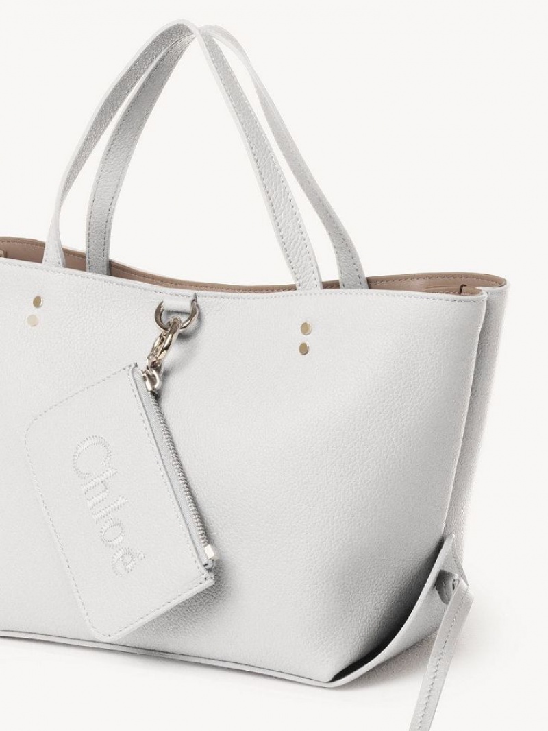 Chloe Sense Small East-west Shoulder Bags Crystal White | CHE-SR13421