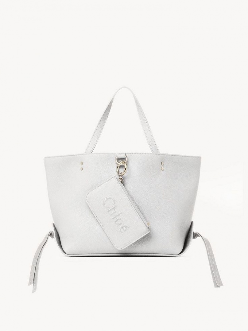 Chloe Sense Small East-west Shoulder Bags Crystal White | CHE-SR13421