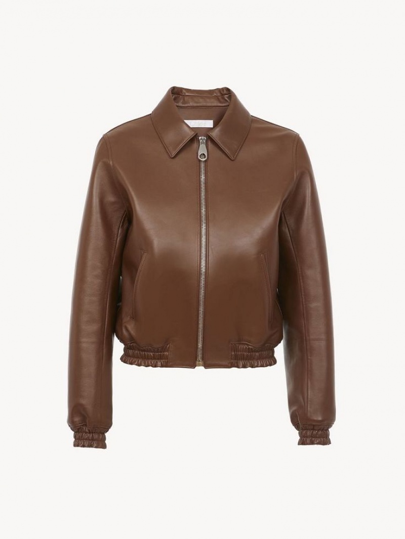 Chloe Short Blouson Jackets DARK CHESNUT | CHE-SR13797