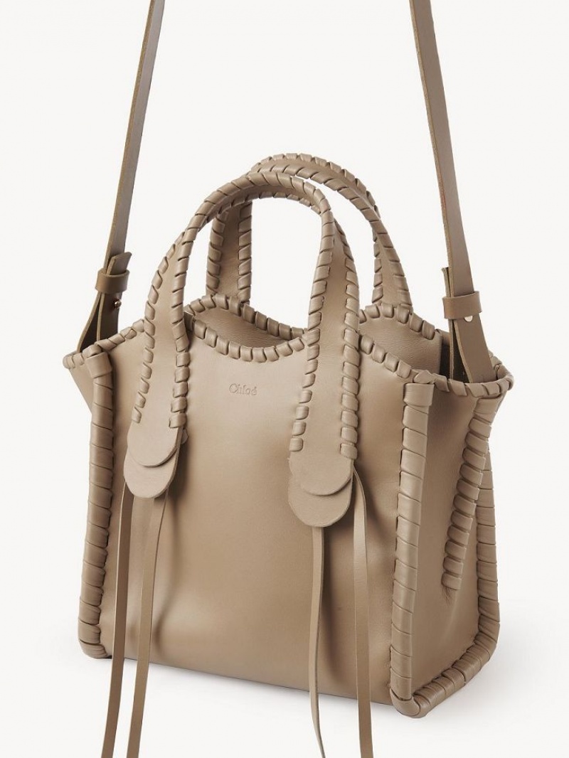 Chloe Small Mony Crossbody Bags ARGIL BROWN | CHE-SR13602