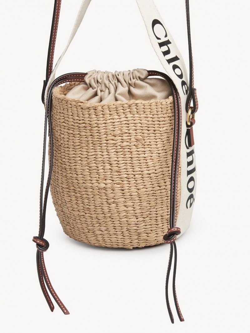 Chloe Small Woody Basket Crossbody Bags White | CHE-SR13609