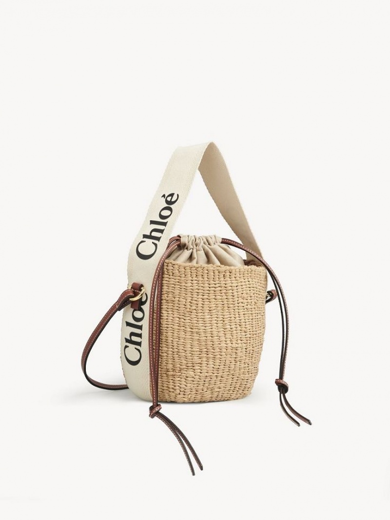 Chloe Small Woody Basket Mini Bags White | CHE-SR13659