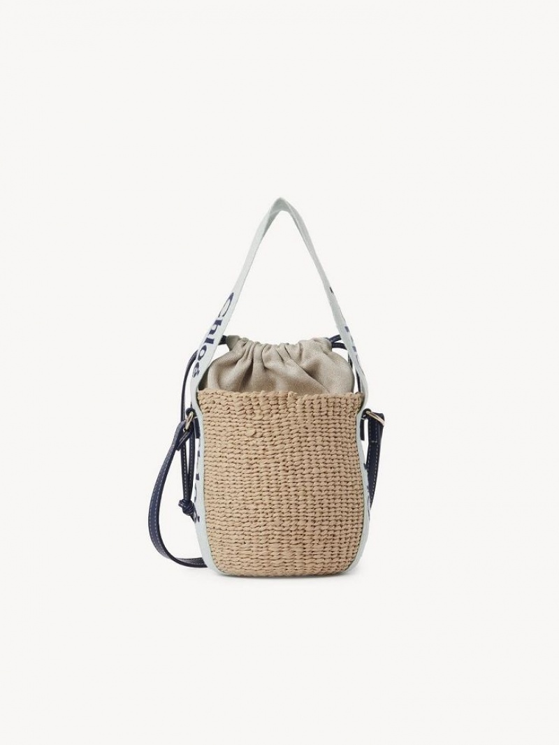 Chloe Small Woody Baskets GREEN - BLUE 1 | CHE-SR13643