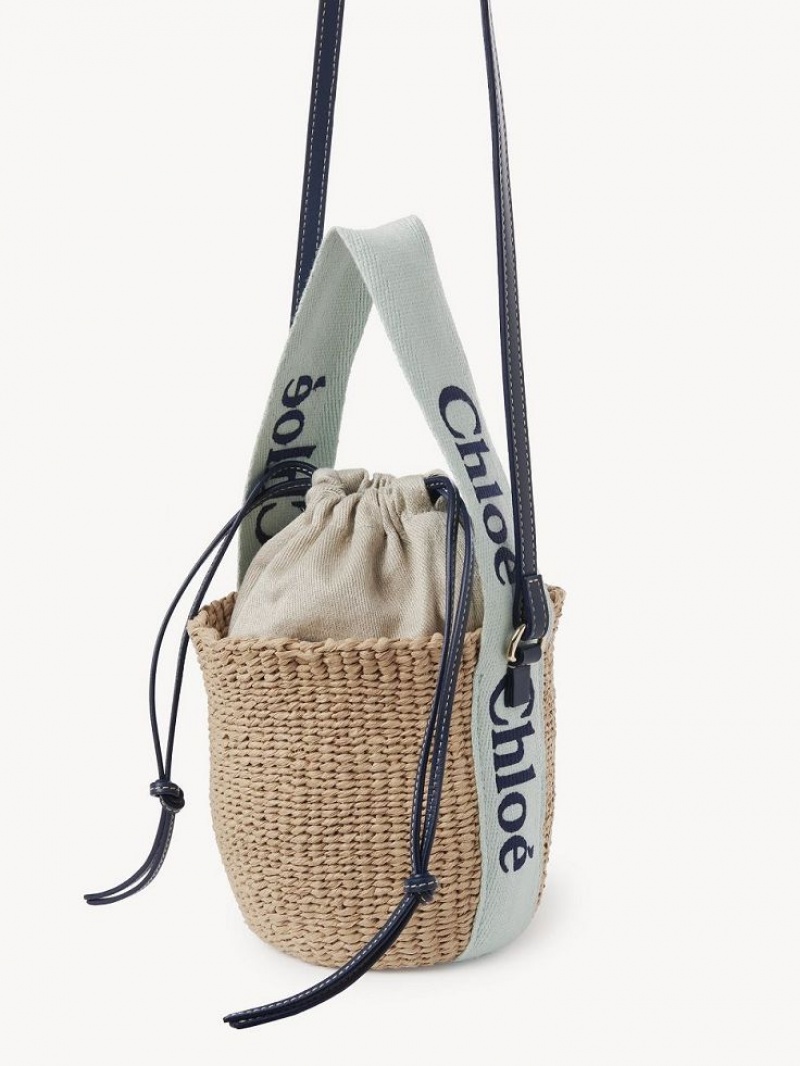 Chloe Small Woody Baskets GREEN - BLUE 1 | CHE-SR13643