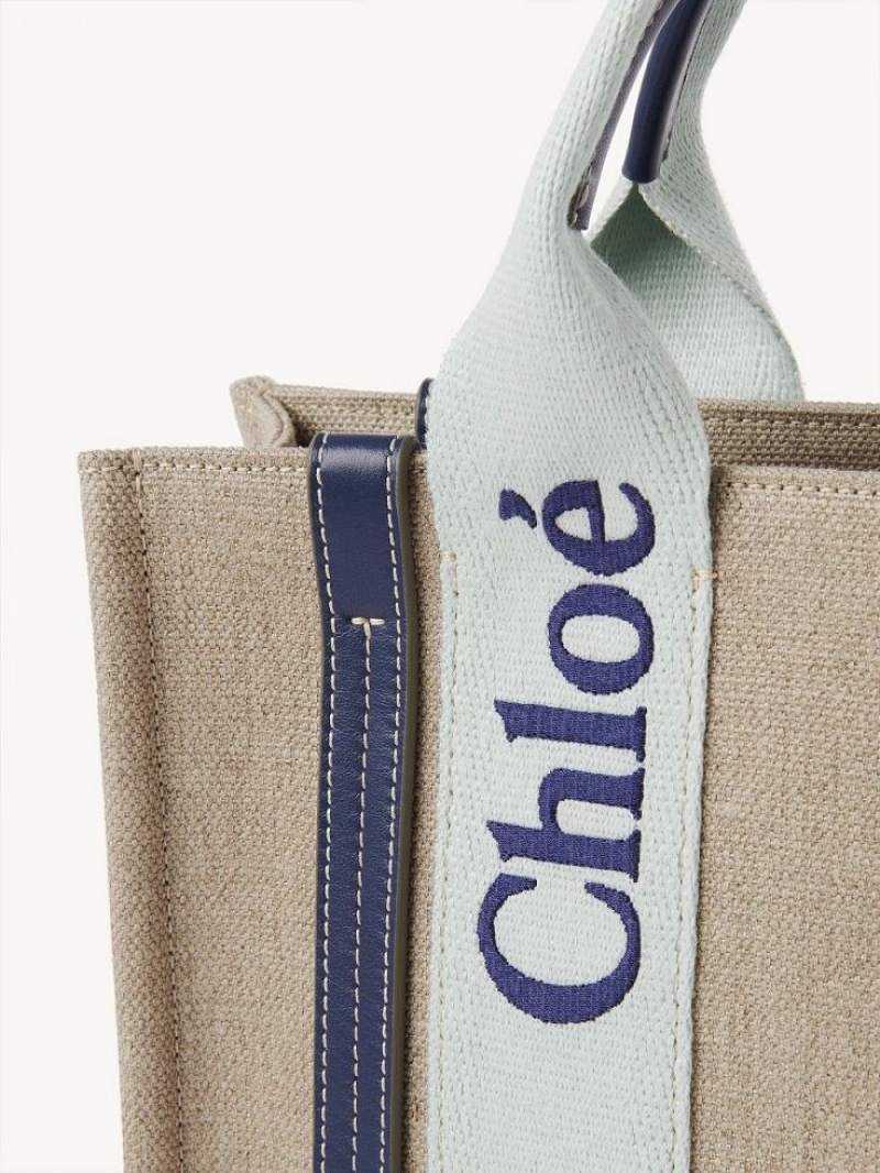 Chloe Small Woody Crossbody Bags GREEN - BLUE 1 | CHE-SR13568