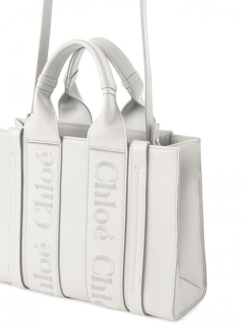 Chloe Small Woody Crossbody Bags White | CHE-SR13541