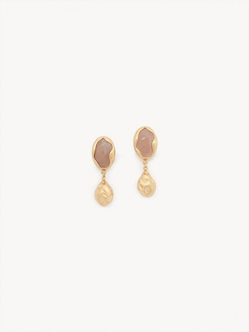 Chloe Sybil Earrings Bright Gold | CHE-SR14459