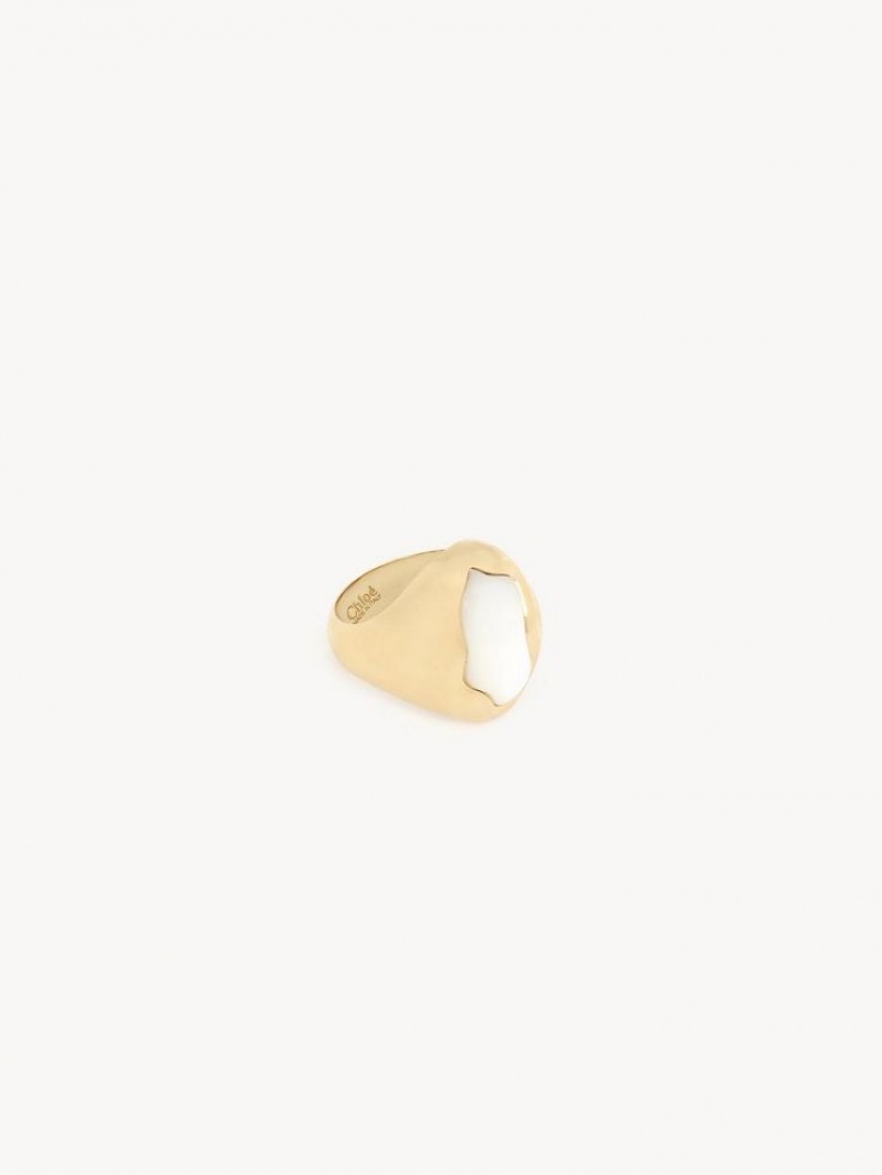 Chloe Sybil Rings Pearl | CHE-SR14450