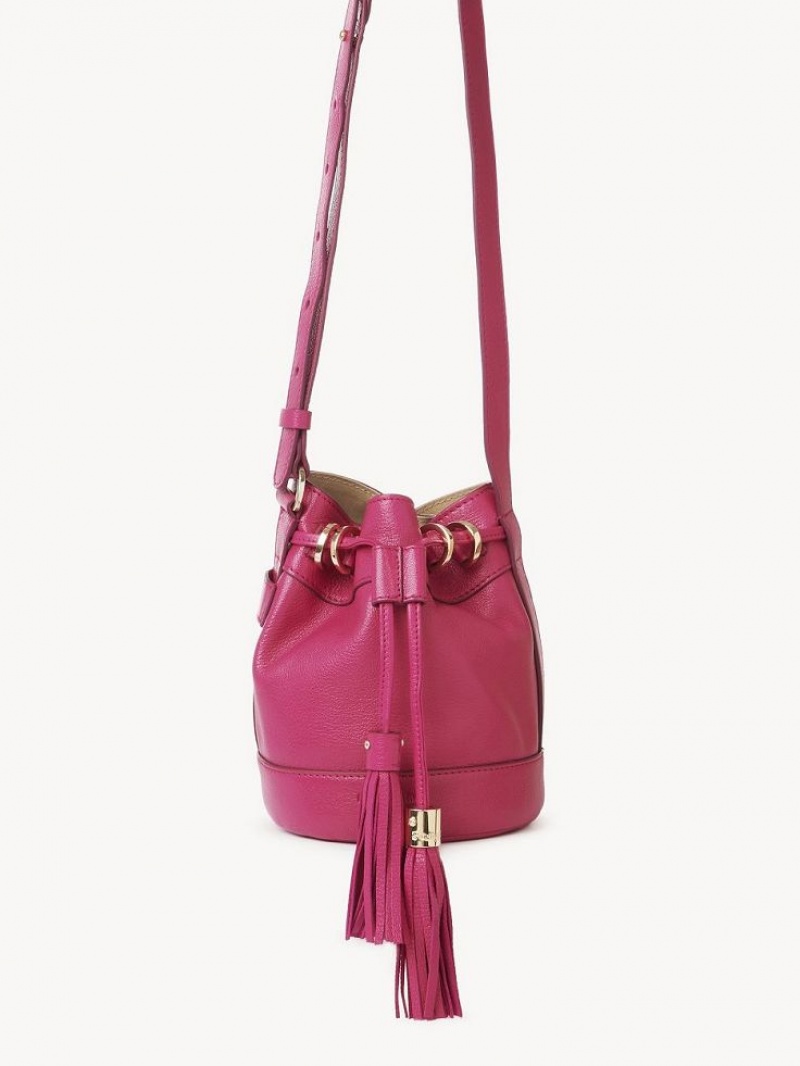 Chloe Vicki Small Bucket Shoulder Bags MAGNETIC PINK | CHE-SR14610