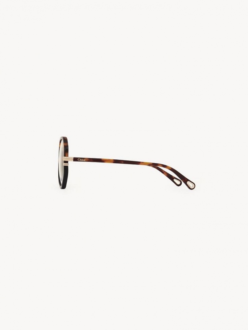 Chloe West Eyeglasses Havana | CHE-SR14584