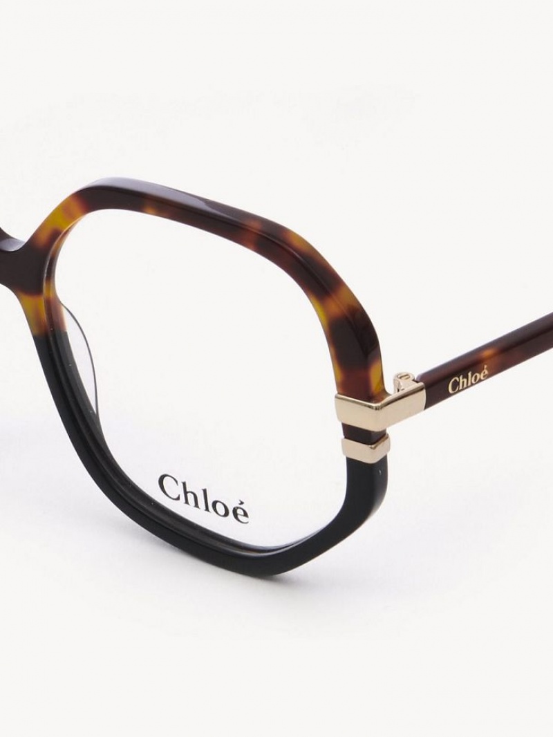 Chloe West Eyeglasses Havana | CHE-SR14584