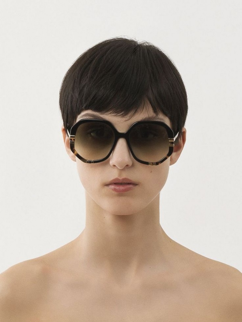 Chloe West Small Sunglasses BLACK/HAVANA | CHE-SR14519