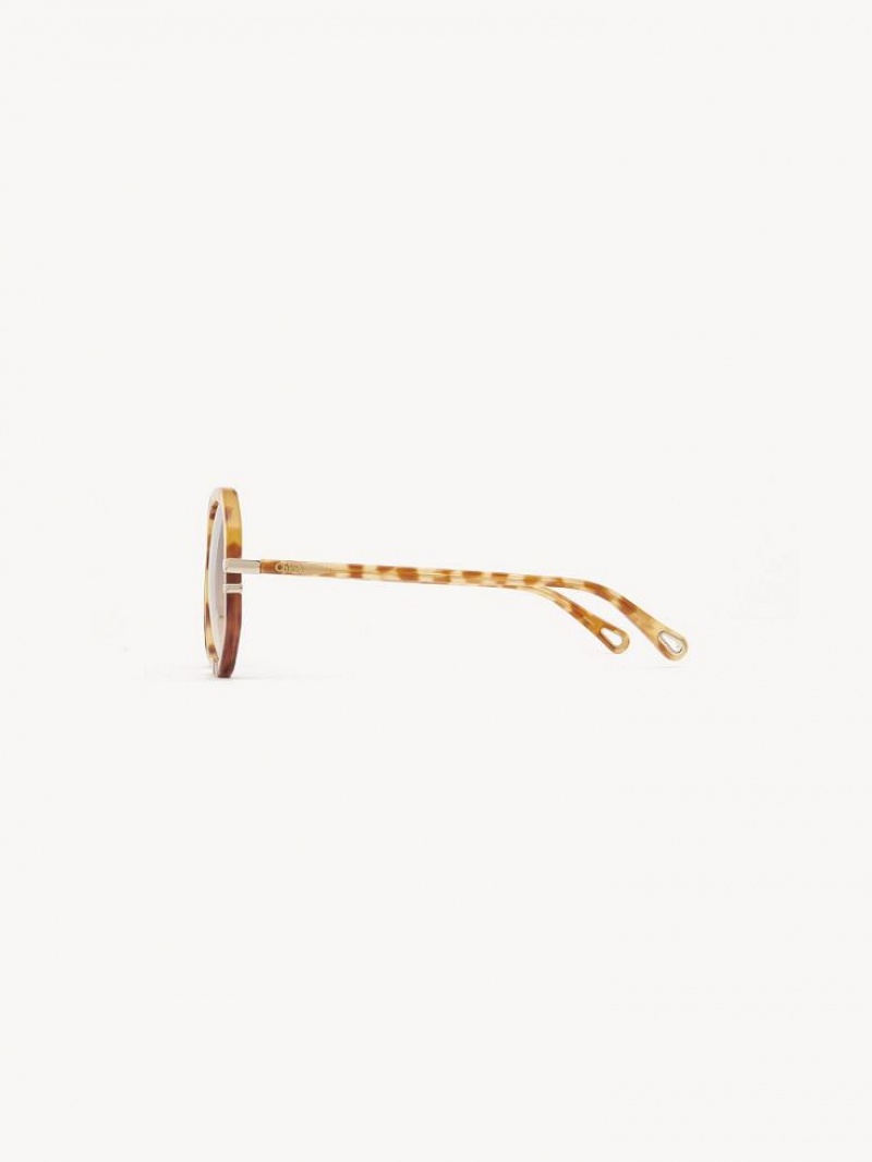 Chloe West Small Sunglasses HAVANA PATCHWORK | CHE-SR14518