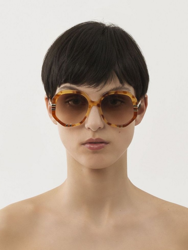 Chloe West Small Sunglasses HAVANA PATCHWORK | CHE-SR14518