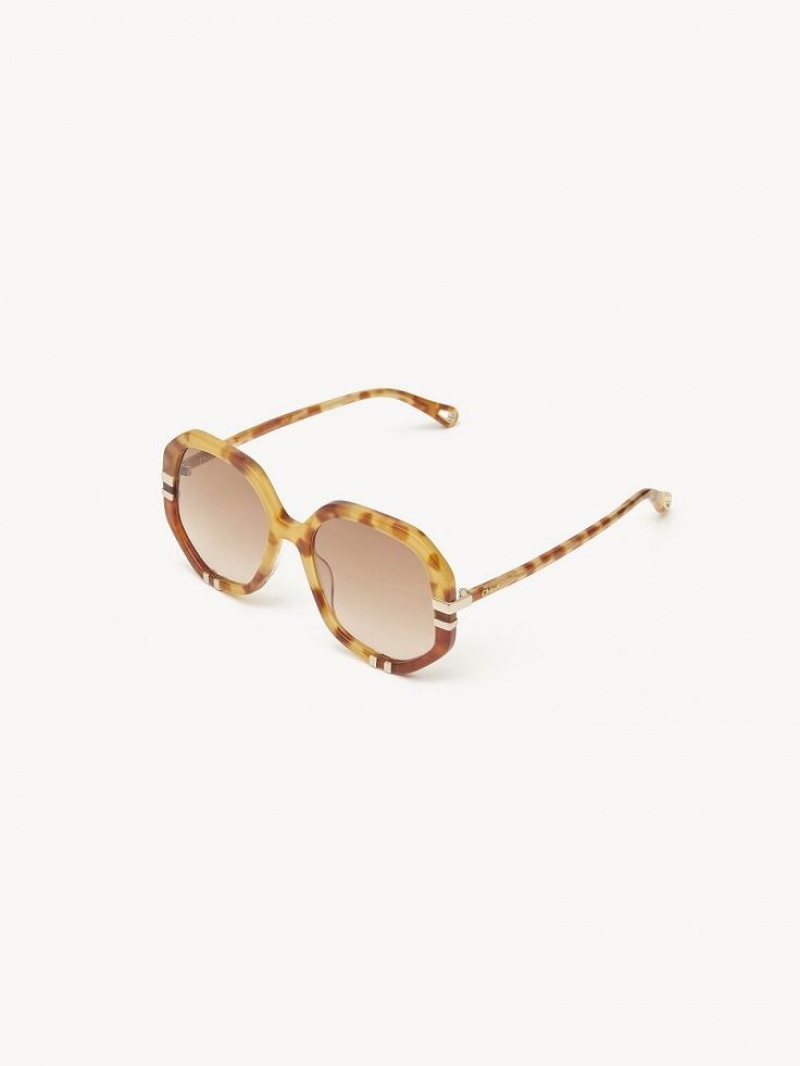 Chloe West Small Sunglasses HAVANA PATCHWORK | CHE-SR14518