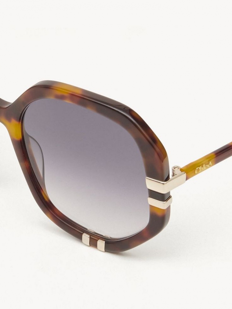 Chloe West Small Sunglasses HAVANA / GRAD BLUE | CHE-SR14517