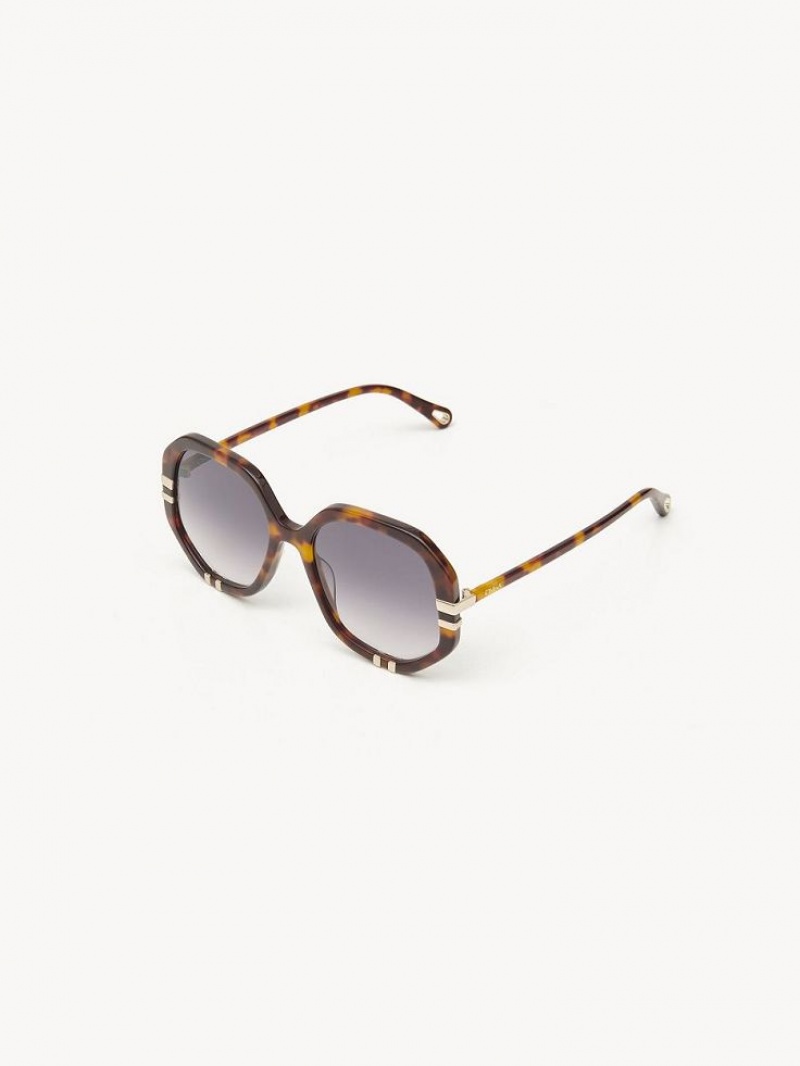 Chloe West Small Sunglasses HAVANA / GRAD BLUE | CHE-SR14517