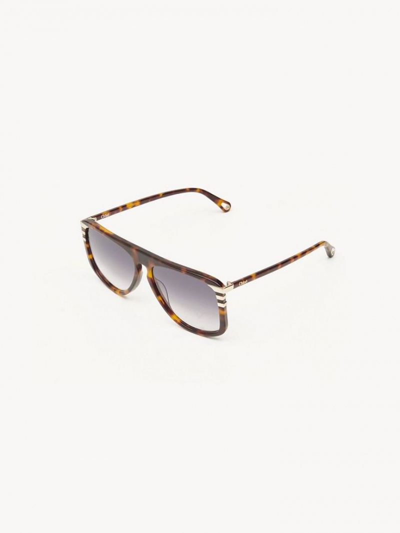 Chloe West Small Sunglasses HAVANA / GRAD BLUE | CHE-SR14520