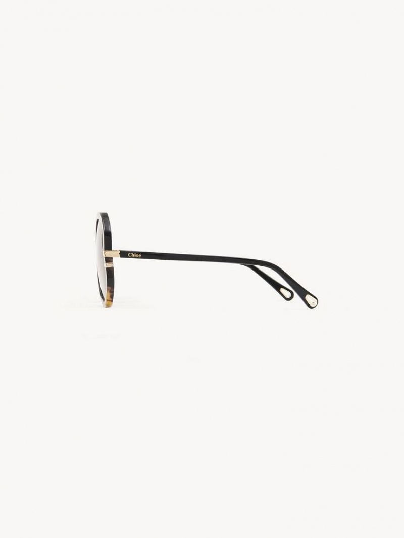 Chloe West Sunglasses BLACK/HAVANA | CHE-SR14560