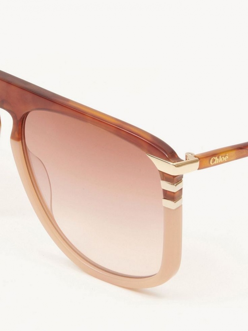 Chloe West Sunglasses HAVANA/PEACH | CHE-SR14548