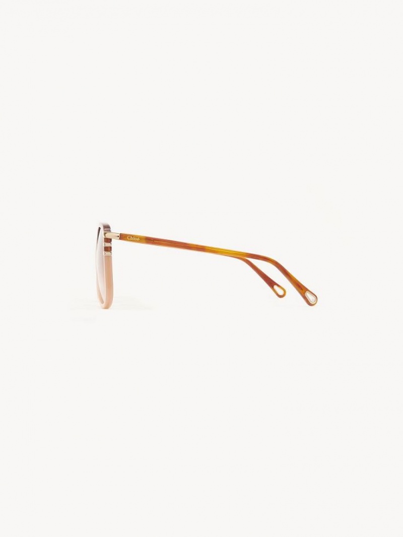 Chloe West Sunglasses HAVANA/PEACH | CHE-SR14548