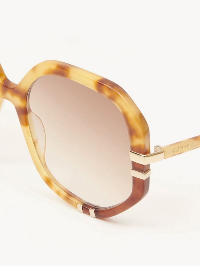 Chloe West Sunglasses HAVANA PATCHWORK | CHE-SR14547