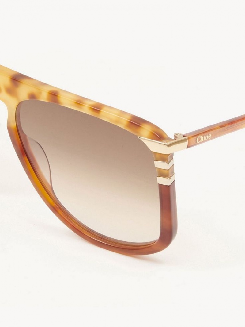 Chloe West Sunglasses HAVANA PATCHWORK | CHE-SR14564