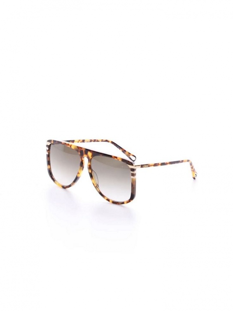 Chloe West Sunglasses HAVANA PATCHWORK | CHE-SR14564