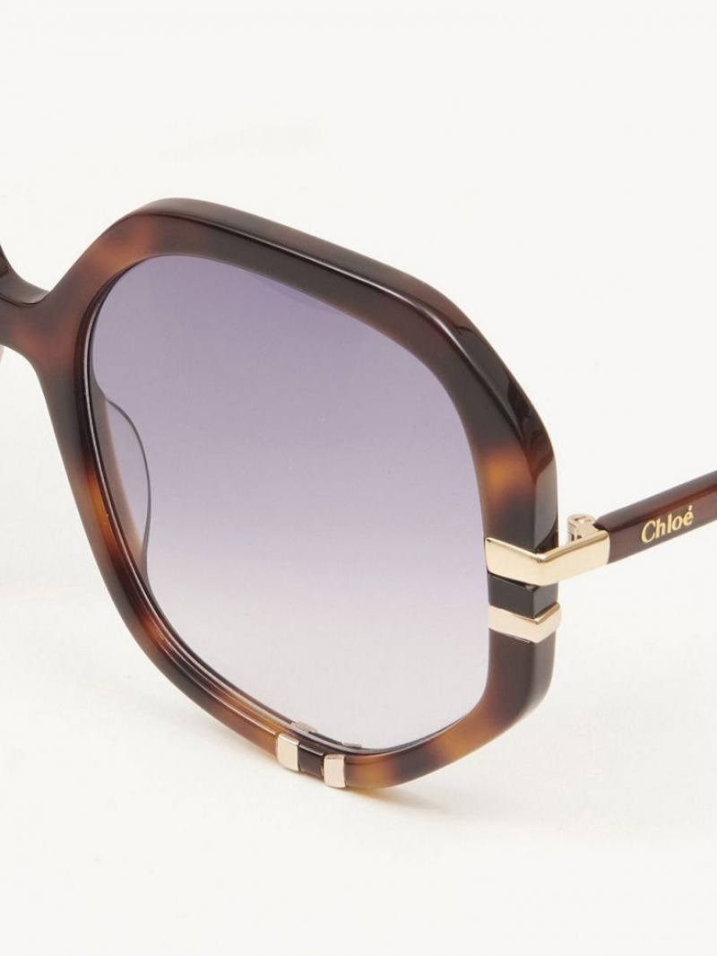 Chloe West Sunglasses HAVANA / GRAD BLUE | CHE-SR14559