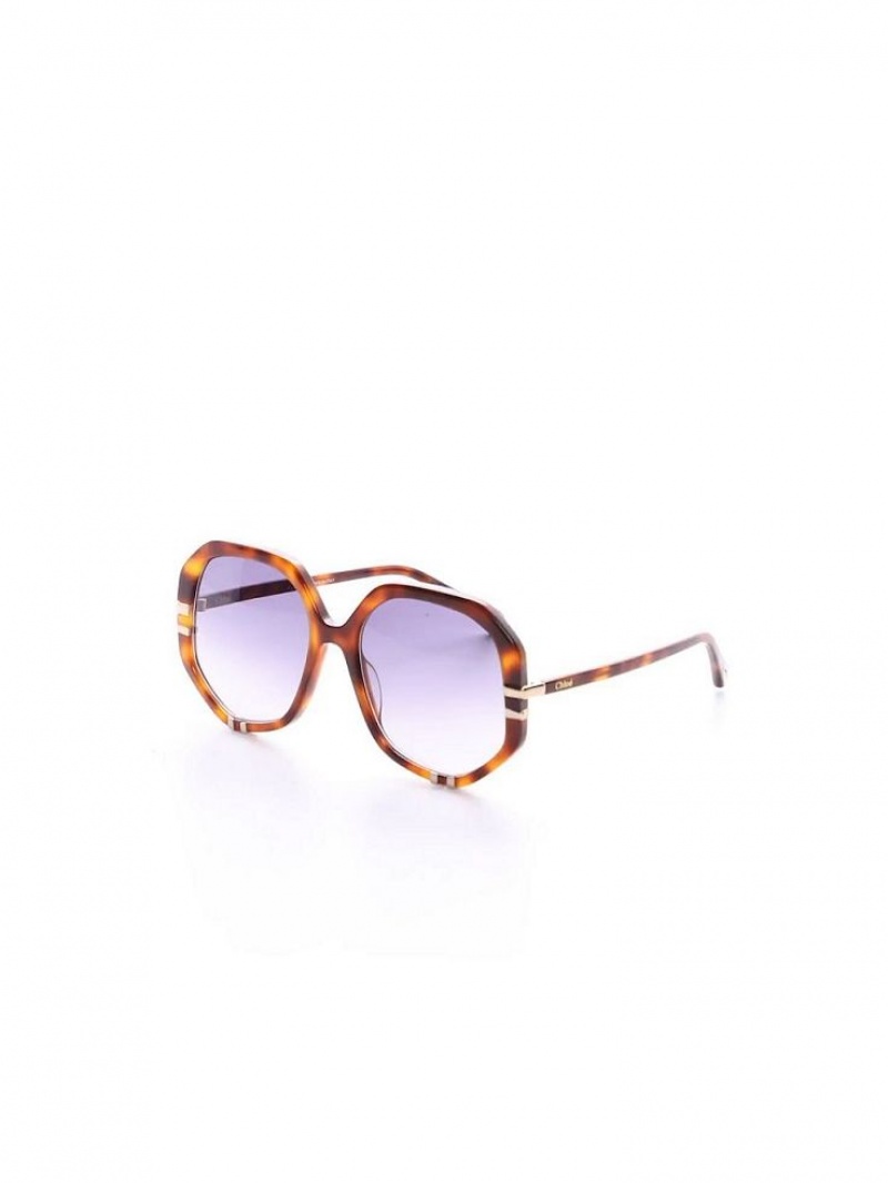 Chloe West Sunglasses HAVANA / GRAD BLUE | CHE-SR14559