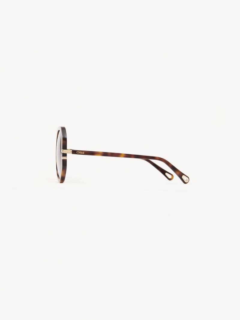 Chloe West Sunglasses HAVANA / GRAD BLUE | CHE-SR14559