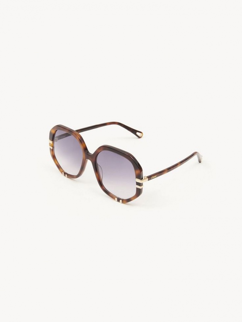 Chloe West Sunglasses HAVANA / GRAD BLUE | CHE-SR14559