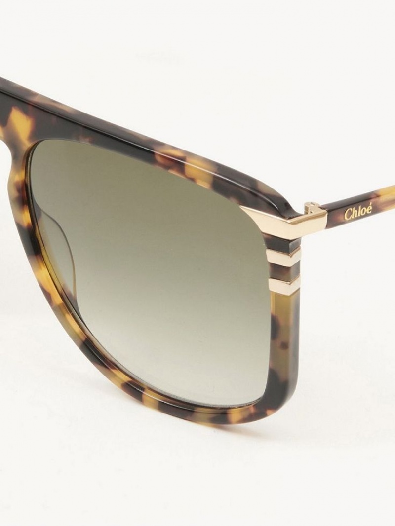 Chloe West Sunglasses Havana | CHE-SR14565