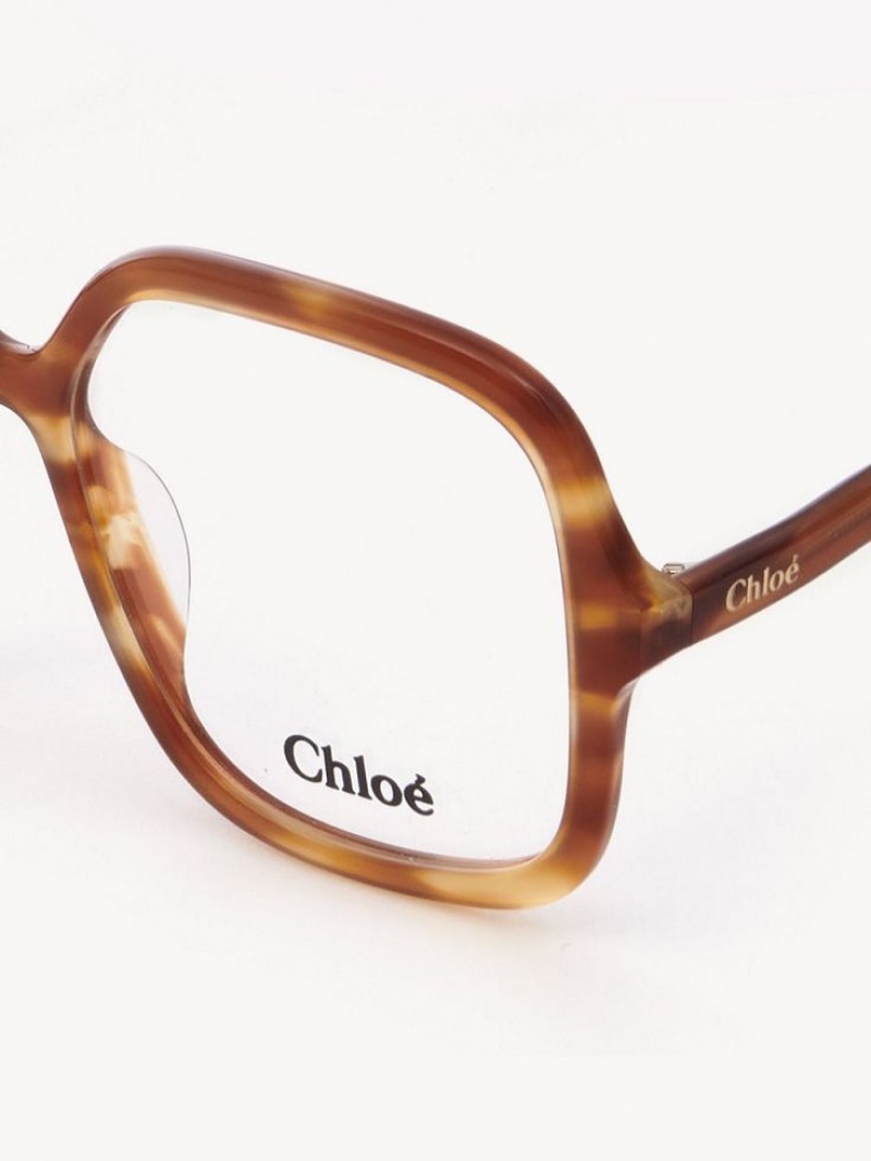 Chloe Zelie Eyeglasses Light Havana | CHE-SR14585