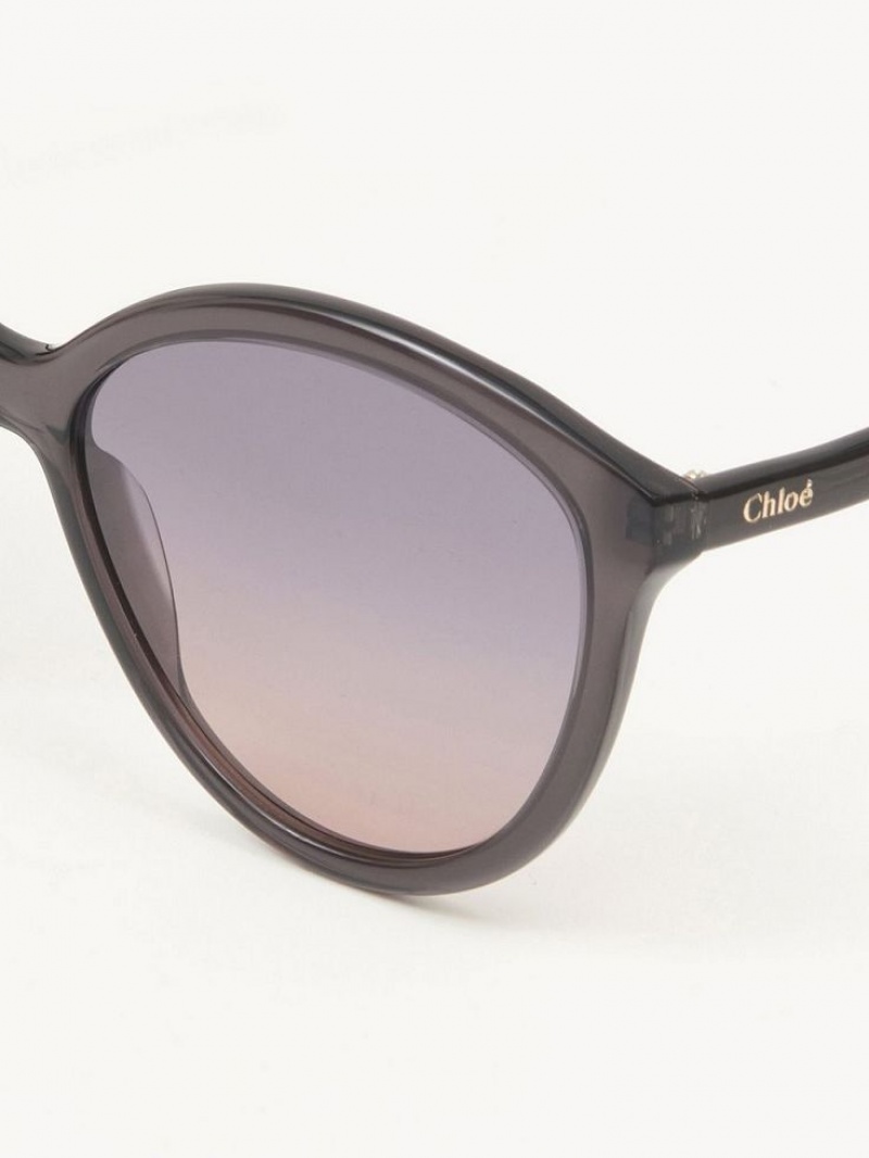 Chloe Zelie Sunglasses Grey | CHE-SR14557