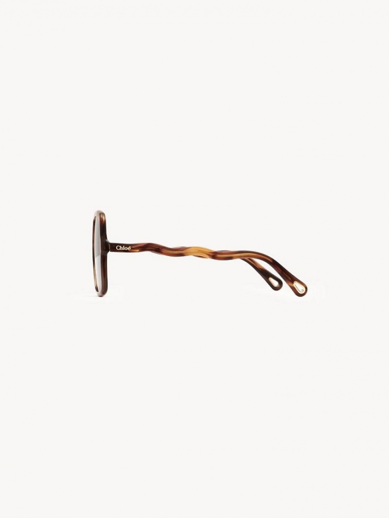 Chloe Zelie Sunglasses HAVANA / BROWN | CHE-SR14515