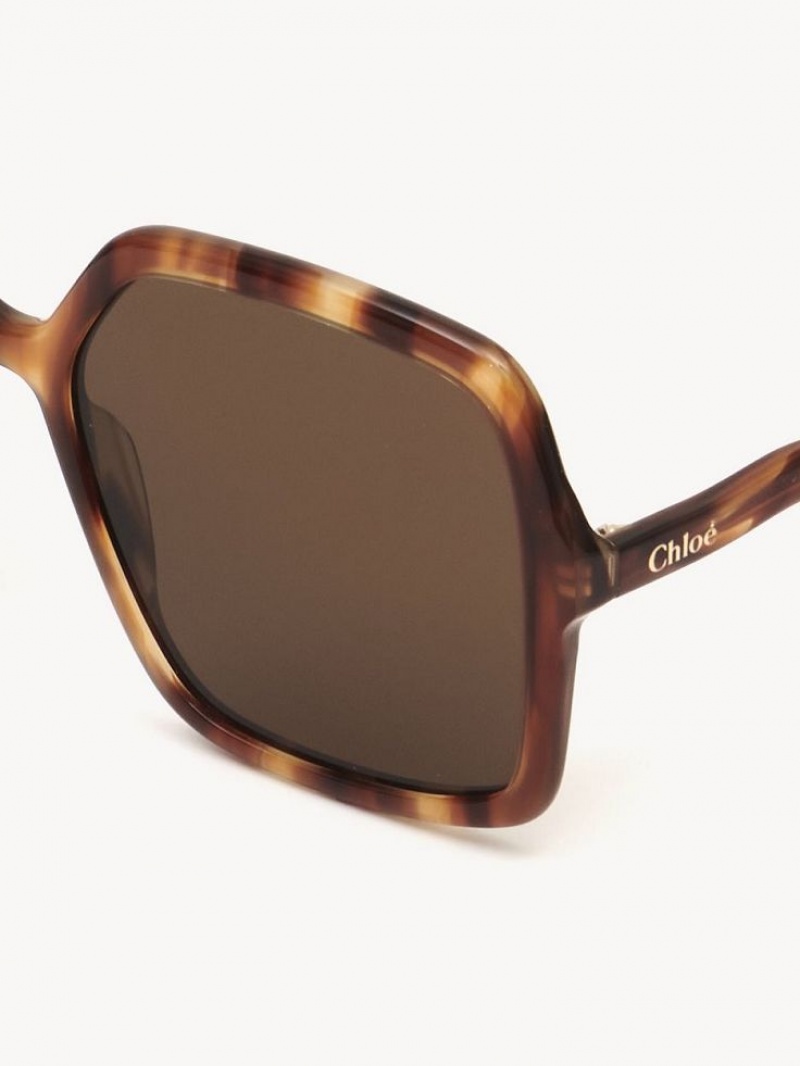 Chloe Zelie Sunglasses HAVANA / BROWN | CHE-SR14515