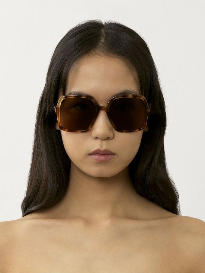 Chloe Zelie Sunglasses HAVANA / BROWN | CHE-SR14515