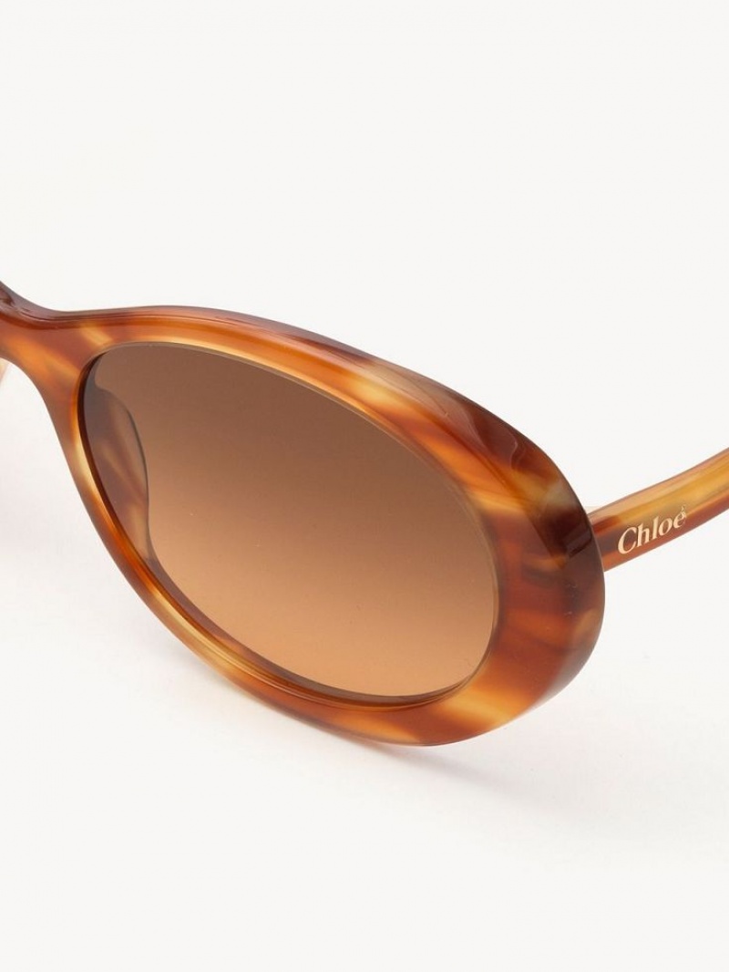 Chloe Zelie Sunglasses Light Havana | CHE-SR14554