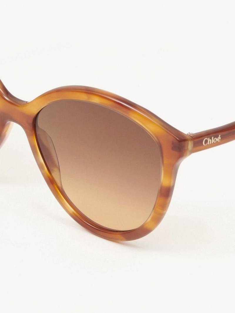 Chloe Zelie Sunglasses Light Havana | CHE-SR14558