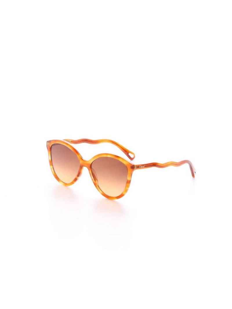 Chloe Zelie Sunglasses Light Havana | CHE-SR14558