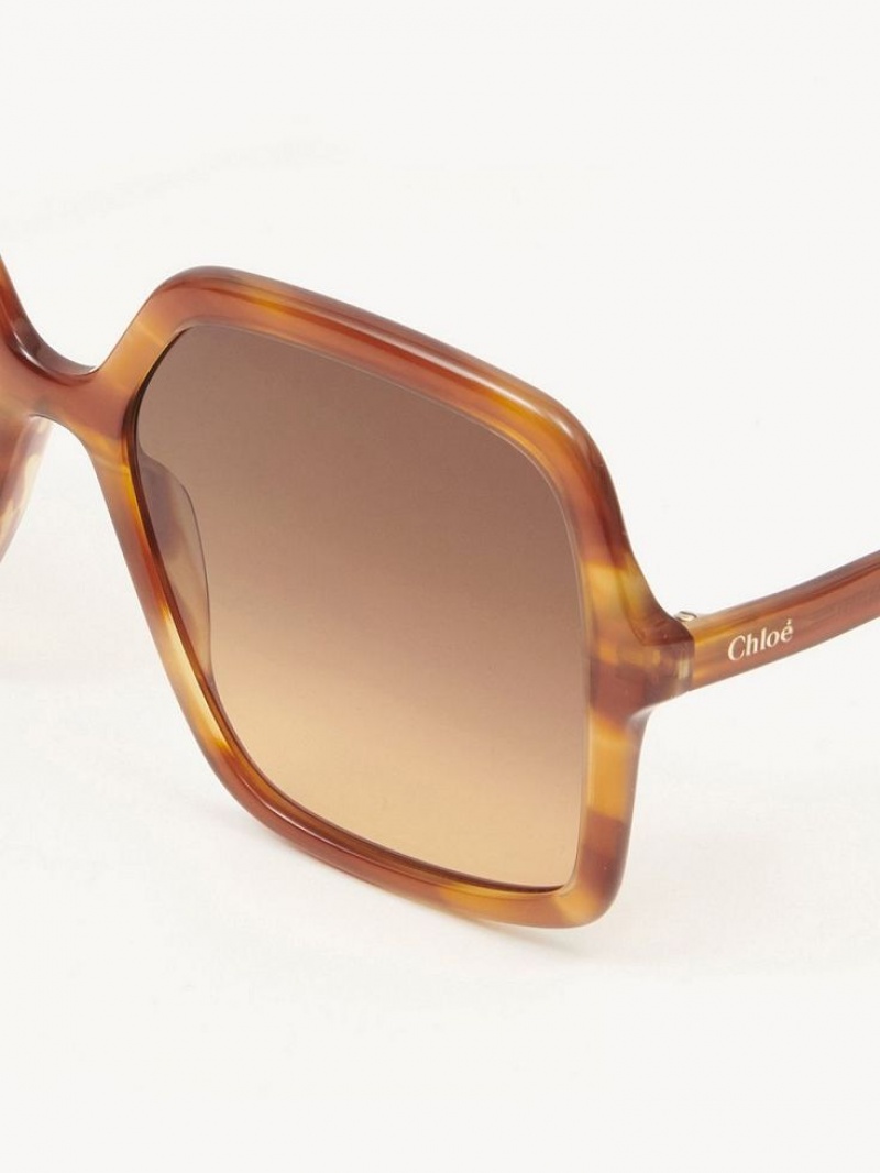 Chloe Zelie Sunglasses Light Havana | CHE-SR14562