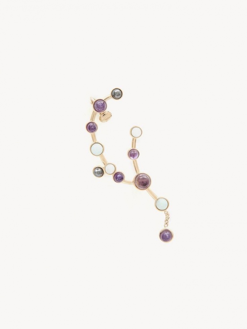 Chloe Zodiac Aquarius Earrings MULTICOLOR 11 | CHE-SR14404